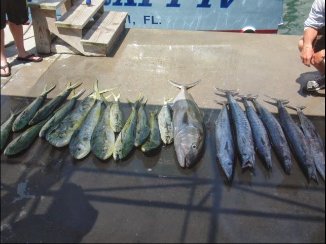 2016-12-12 16_58_58-Foto - Google Fotos