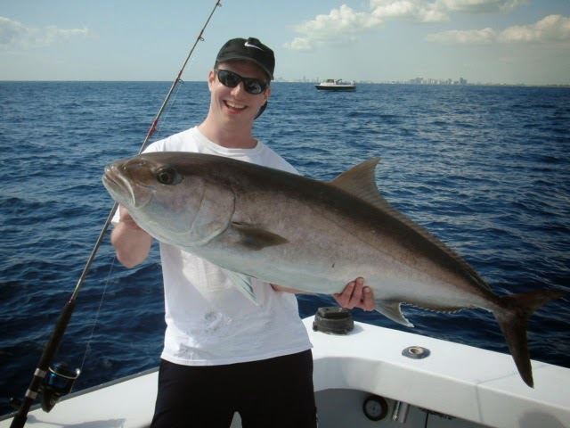 2016-12-12 17_00_14-Foto - Google Fotos