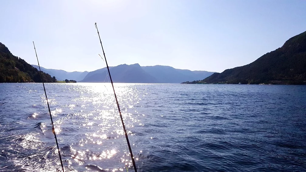 20170925_134108-1008x567