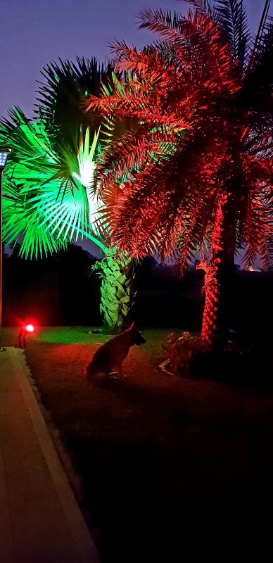 20190204_184105