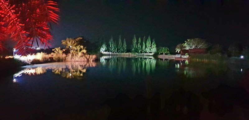 20190206_224908
