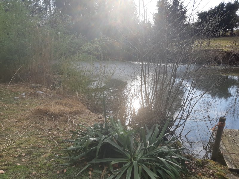 20190222_154020