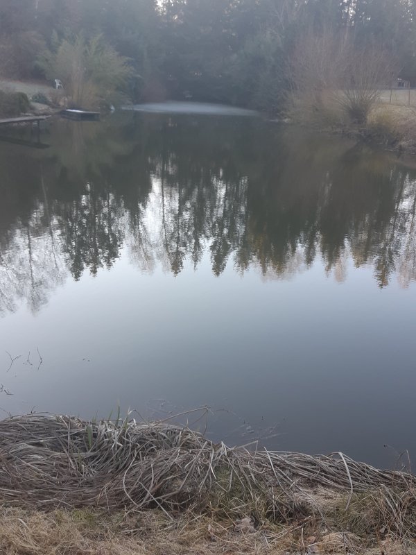 20190223_092644
