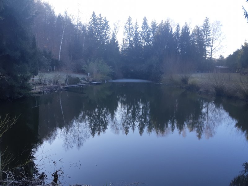 20190223_092650