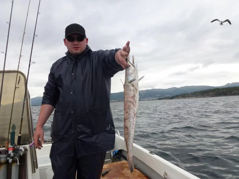 28Futter für den Leng