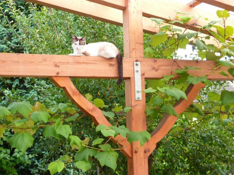 293434 462004163833283 2005842801 n