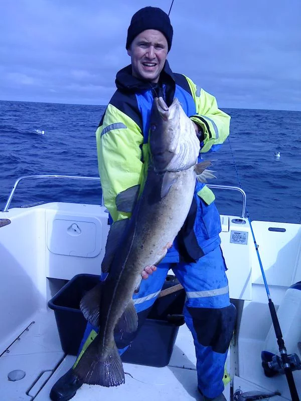 40 Pfund 2008 Torsvag