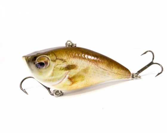 41000550 Real Rattler main ss