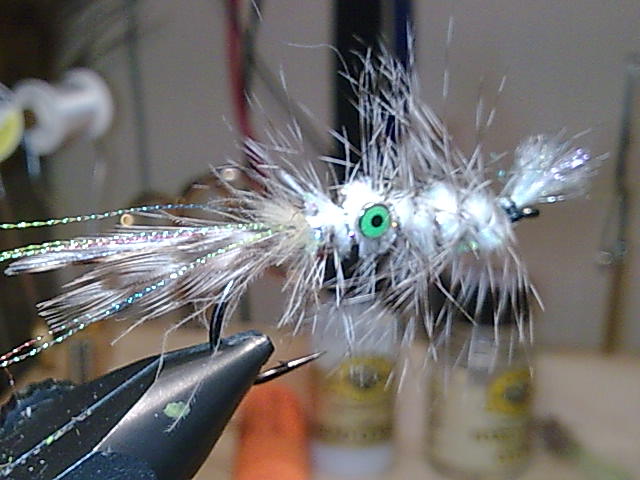 5510.jpg