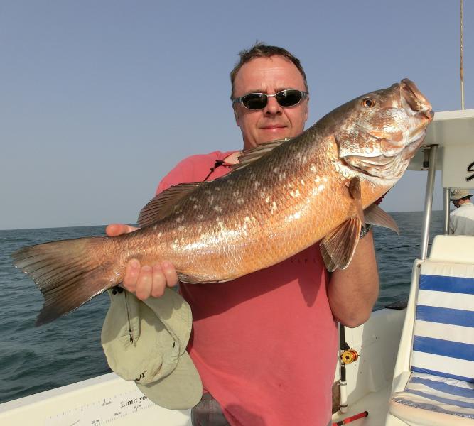African brown Snapper