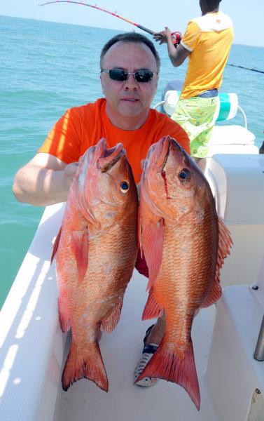 African red Snapper