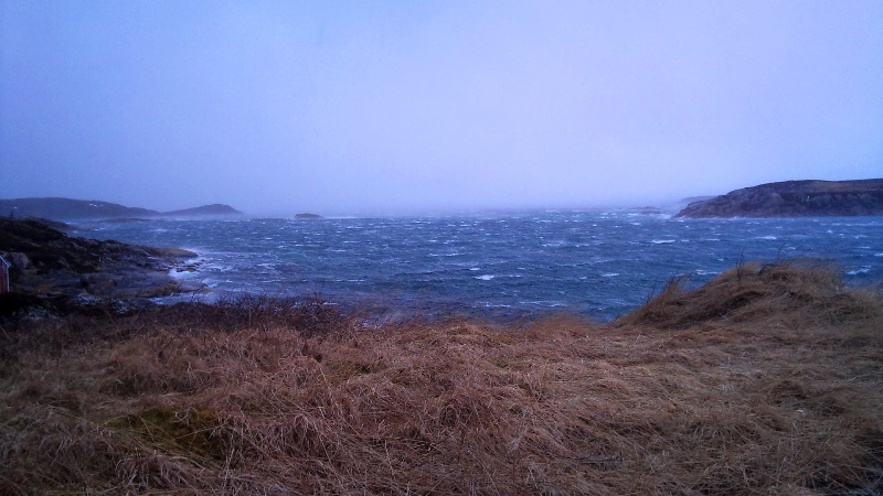 Angeln für Männer1