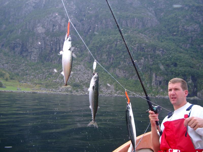 Angeln ist manchmal einfach und anstrengend.