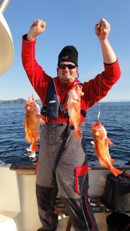 Antons Rothäute Triple