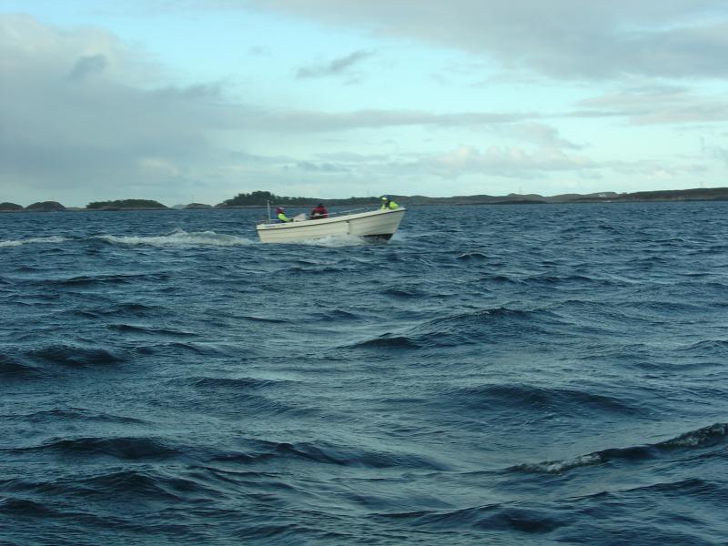 Auch bei starken Wind sind die Toias Boote sehr kippstabil