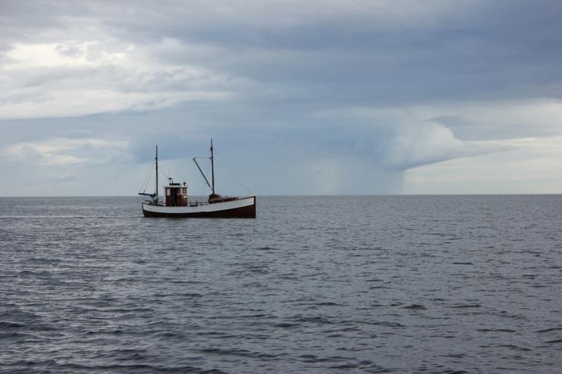 Auch er braucht den Fisch