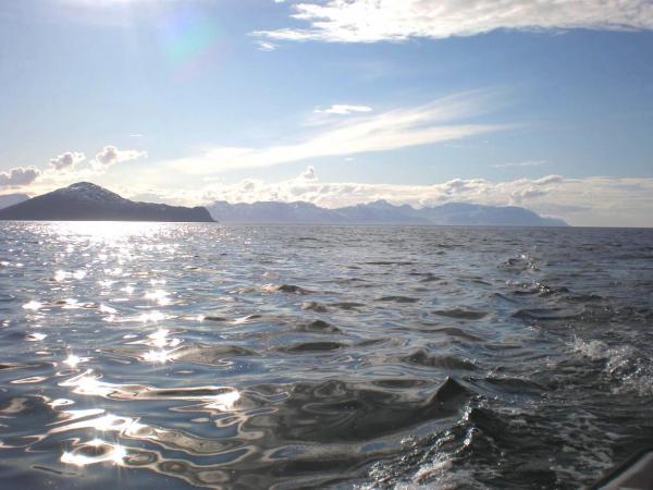 Auf dem Wasser