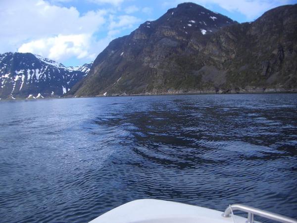 Aus dem Wasser