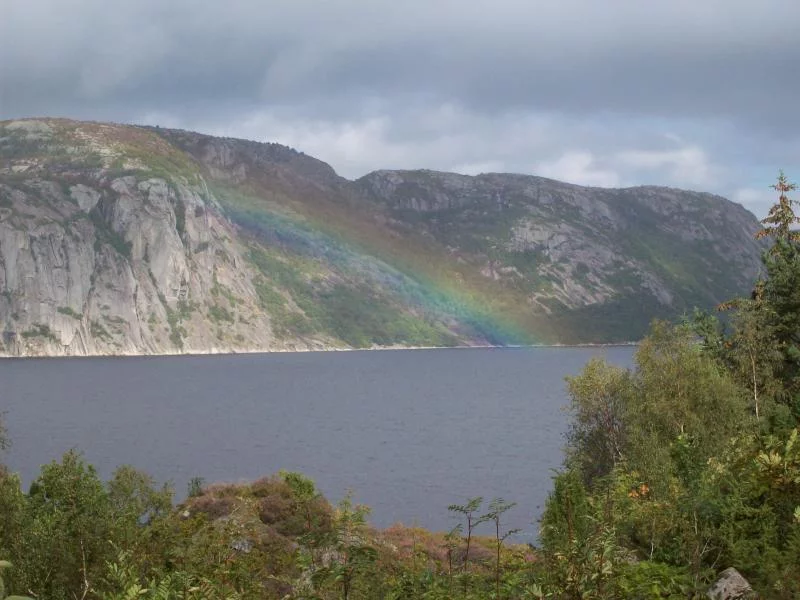 Ausblick auf den Fjord mit Regenbogen