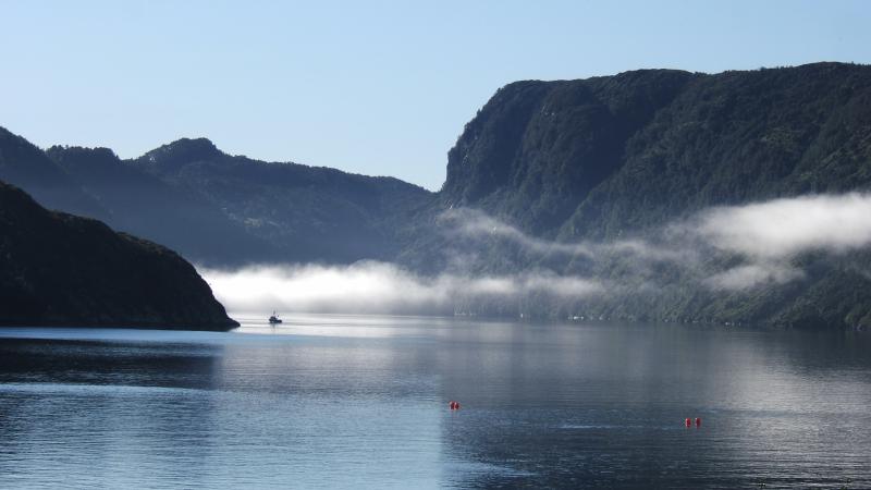 Austfjord im Nebel