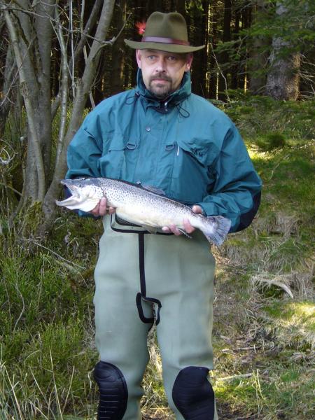 Bachforelle auf Nympfe
Harz Nassenwieser Teich