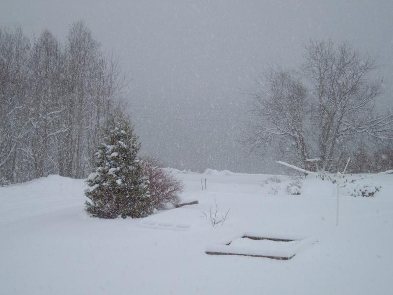 "Balkon-Blick" auf den Fjord