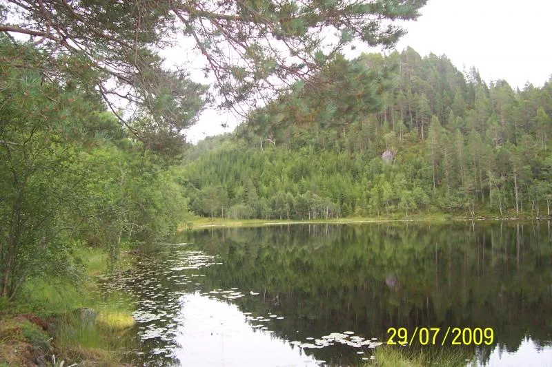 Bergsee hinterm Haus