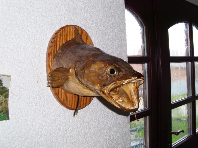 Beschreibung