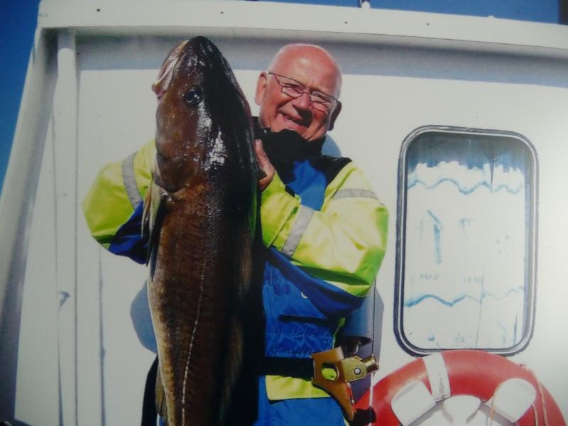 Bild von Hitra - Dorsch