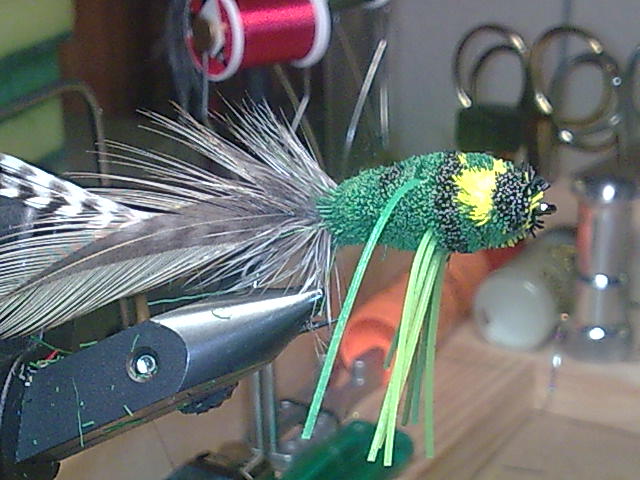 Bild001 (5)