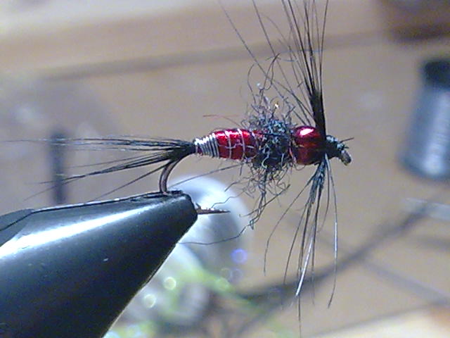 Bild099
Hayabusa Nympenhaken 12