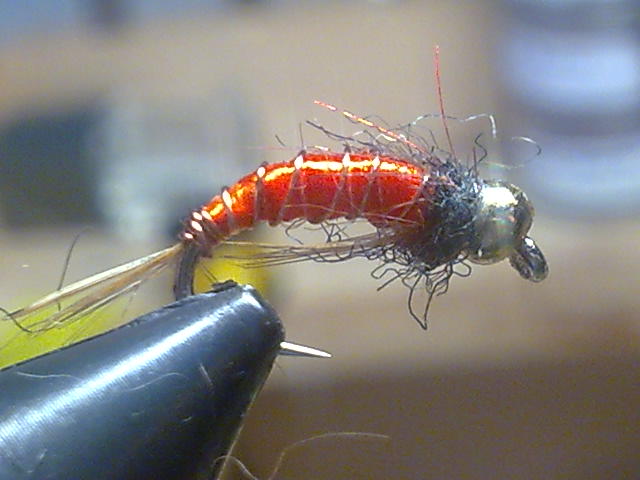 Bild105
CZ Haken Haya 12