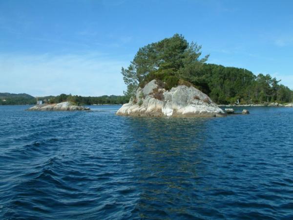 Bild6