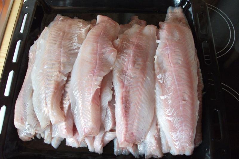 Bilder Bericht 2010 Bild 5