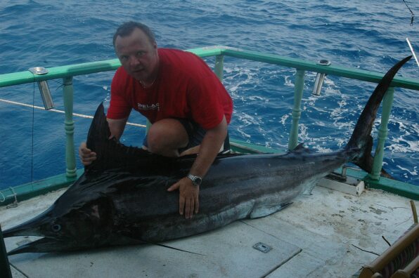 Blue Marlin