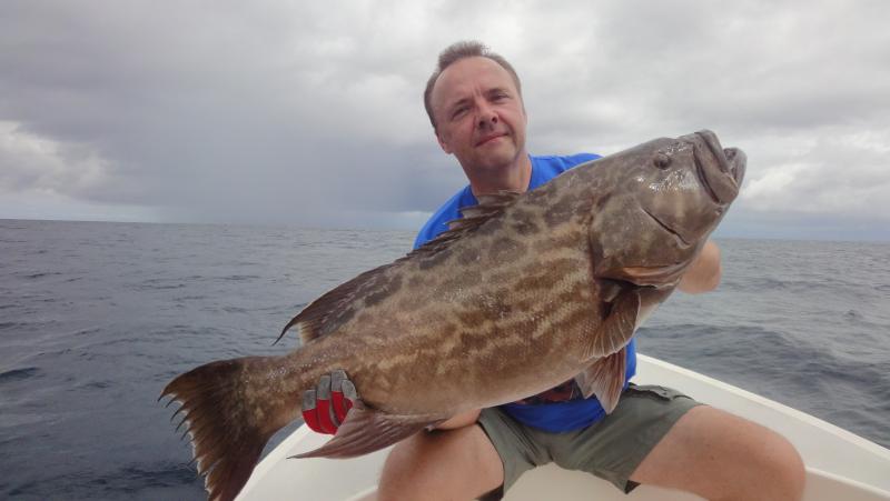 broomtailgrouper
