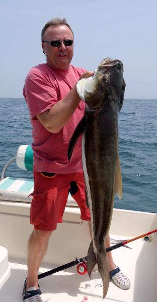 Cobia 30kg
