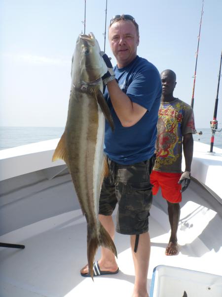 Cobia