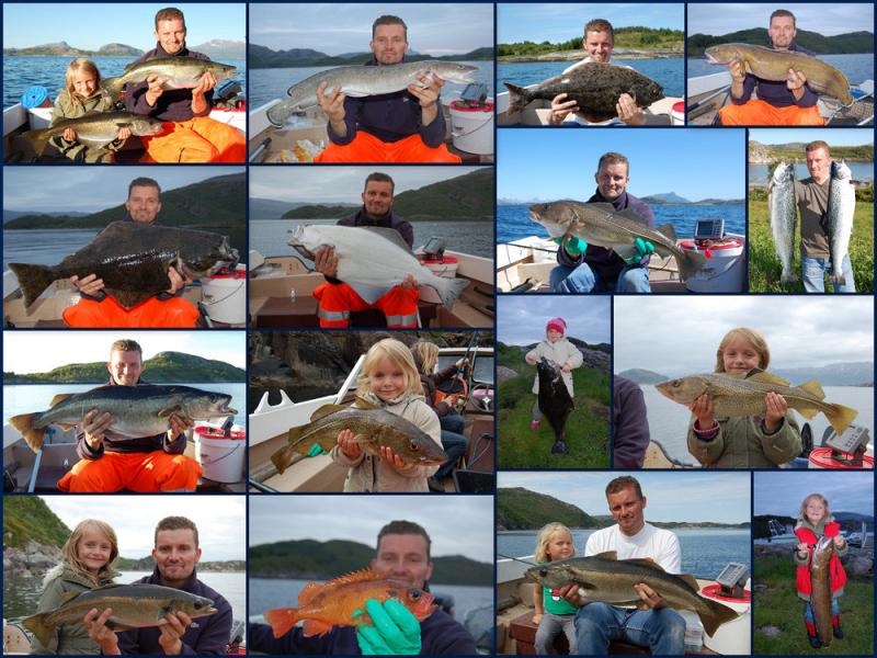 Collage Fische 1 Dönna 2009