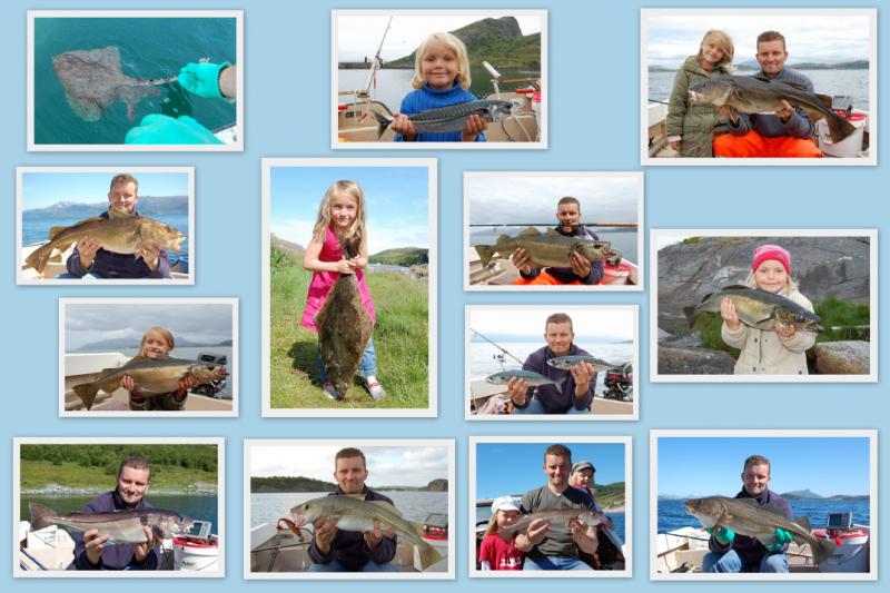 Collage Fische 2 Dönna 2009