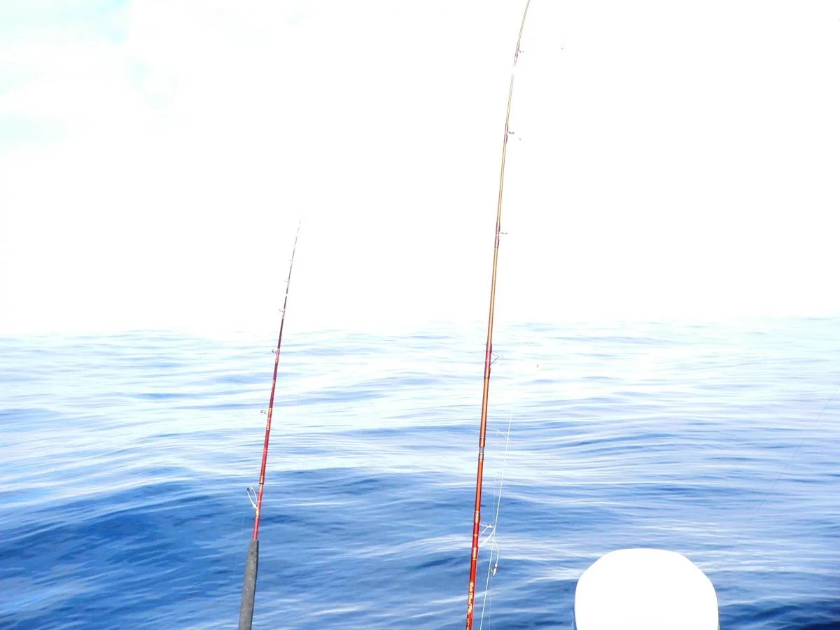 come2norway , Ferien in Flekkefjord / Norwegen 2009