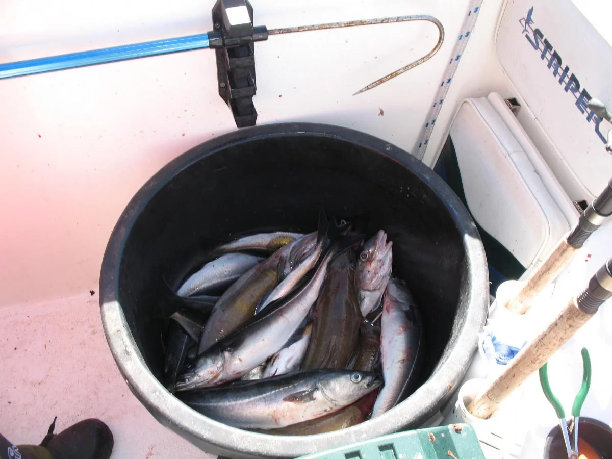 come2norway , Ferien in Flekkefjord / Norwegen 2009