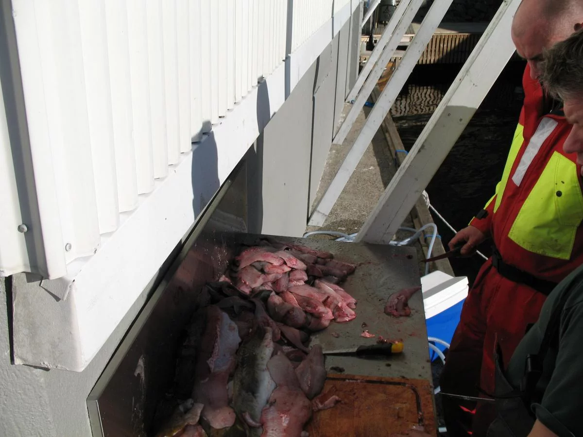 come2norway , Ferien in Flekkefjord / Norwegen 2009