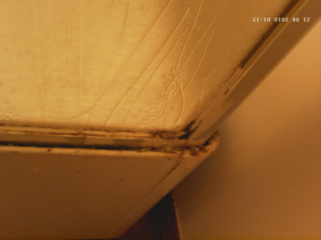 Das ist kein Rost sondern Schimmel