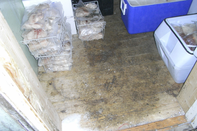 Der Boden des Gefrierhauses in mattgrünen Schimmer