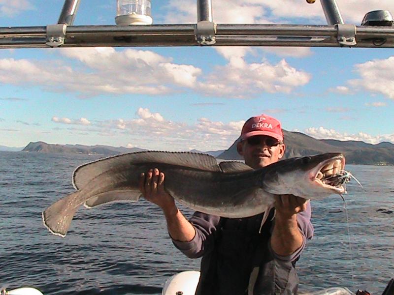 der letzte Fisch der Tour: Leng 125cm