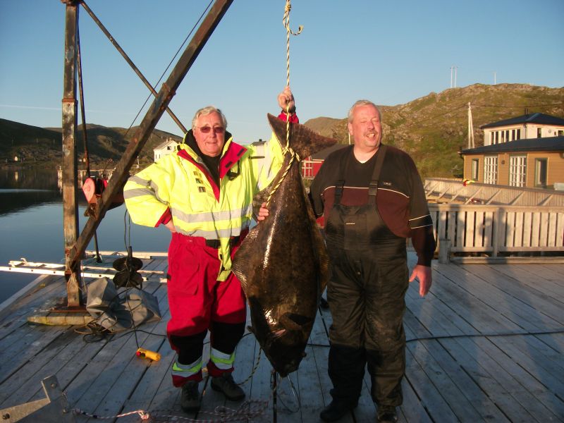 Detlef und Michaels Kveite Kracher