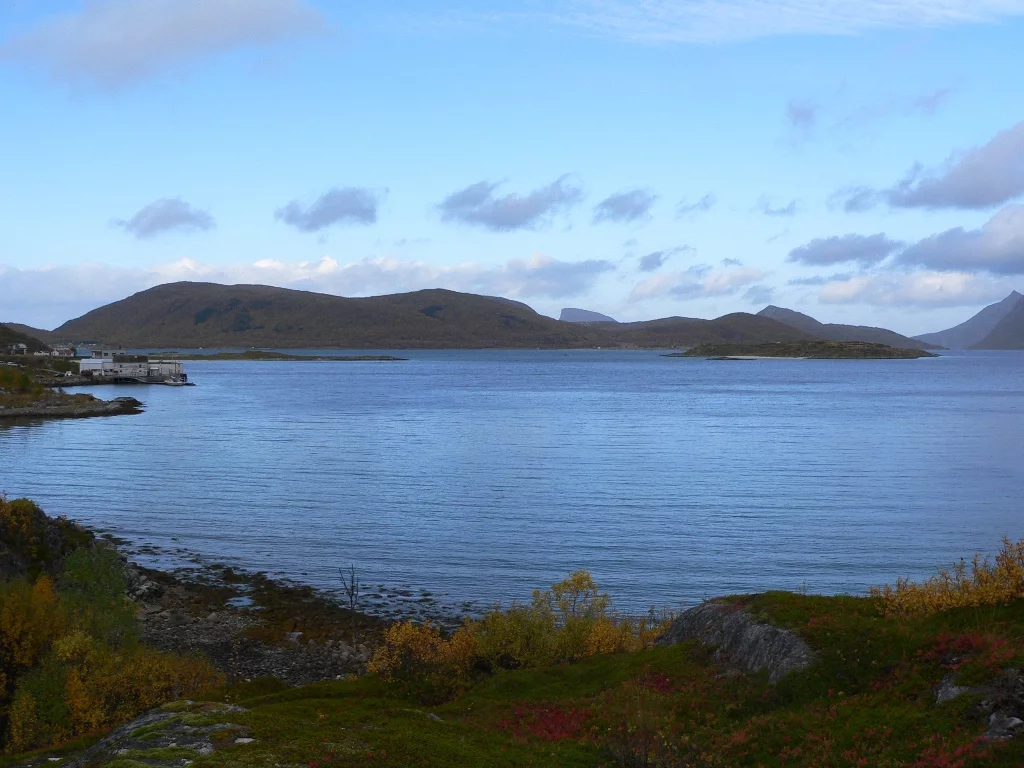 Die Bucht bei Sandneshamn , Bogebukta vor dem Haus