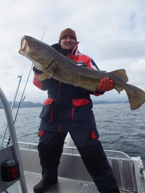 Dorsch - 12 kg, 120 cm