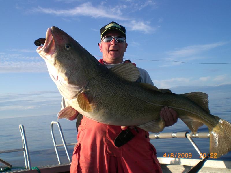 Dorsch, 20 kg, 120cm